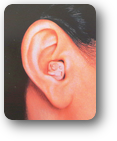 NEF-02挿入耳